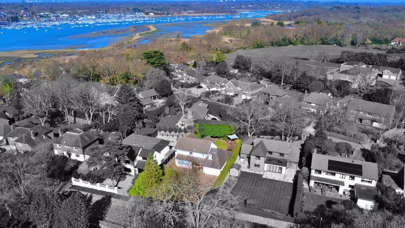 Elevated, Water Back Drop