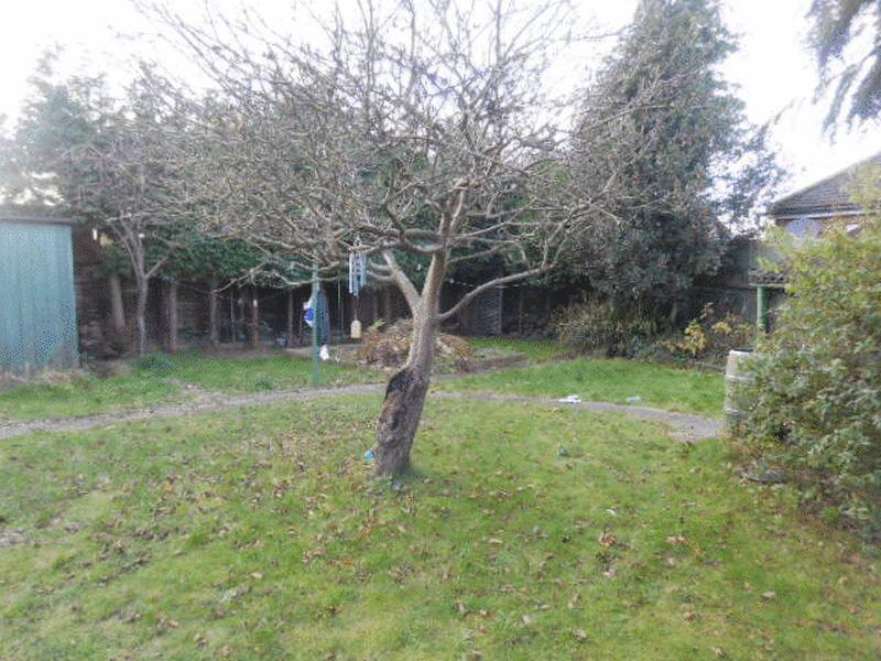 garden