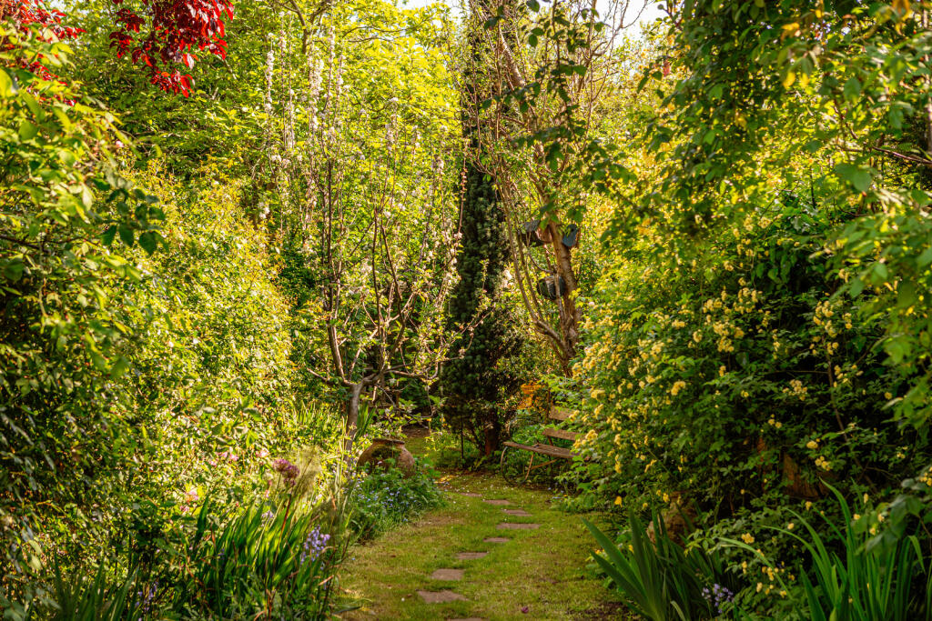 281630 - 25_4_TMH E9 7AN5009-Enhanced-NR.jpg