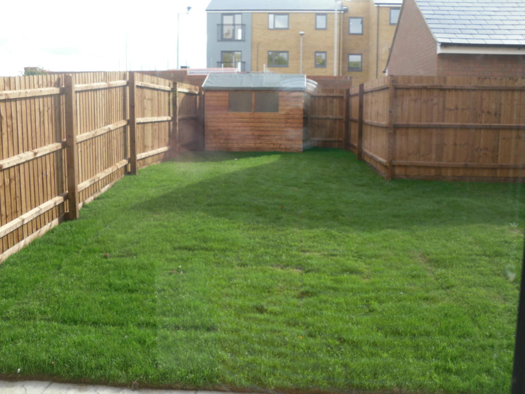 Rear Garden (2)