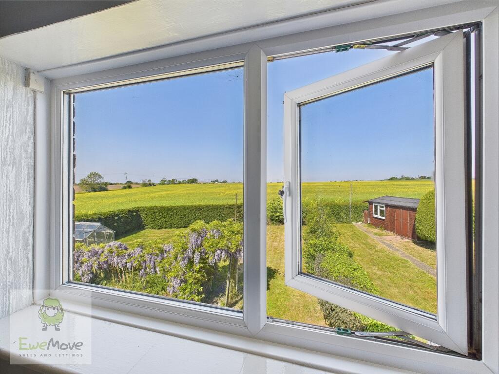 View From The Back Bedroom