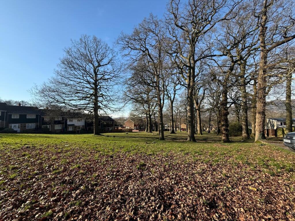 PHOTO-2025-03-03-20-36-33 3