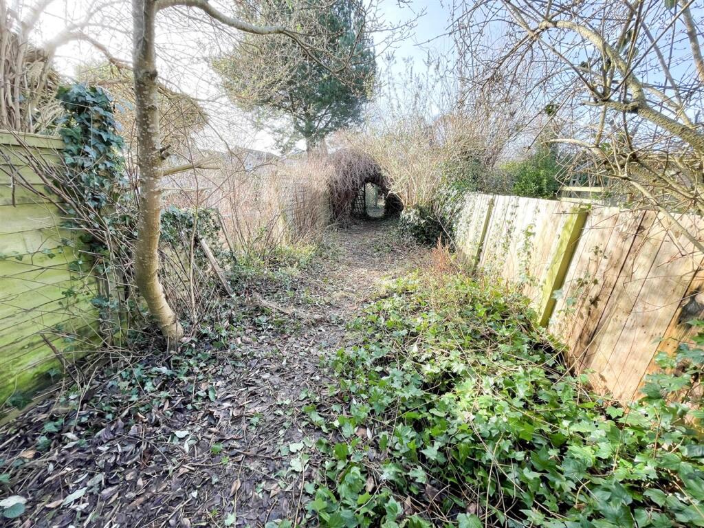 Garden 3.jpg