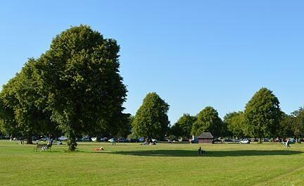 Clifton Downs