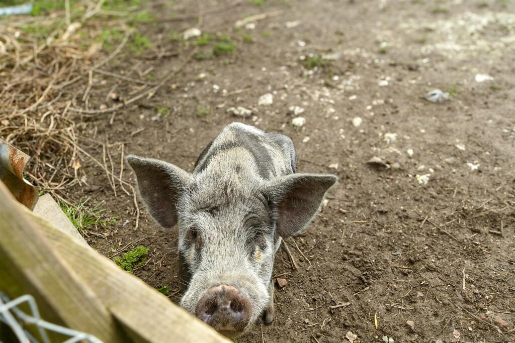 External Lifestyle Photograph