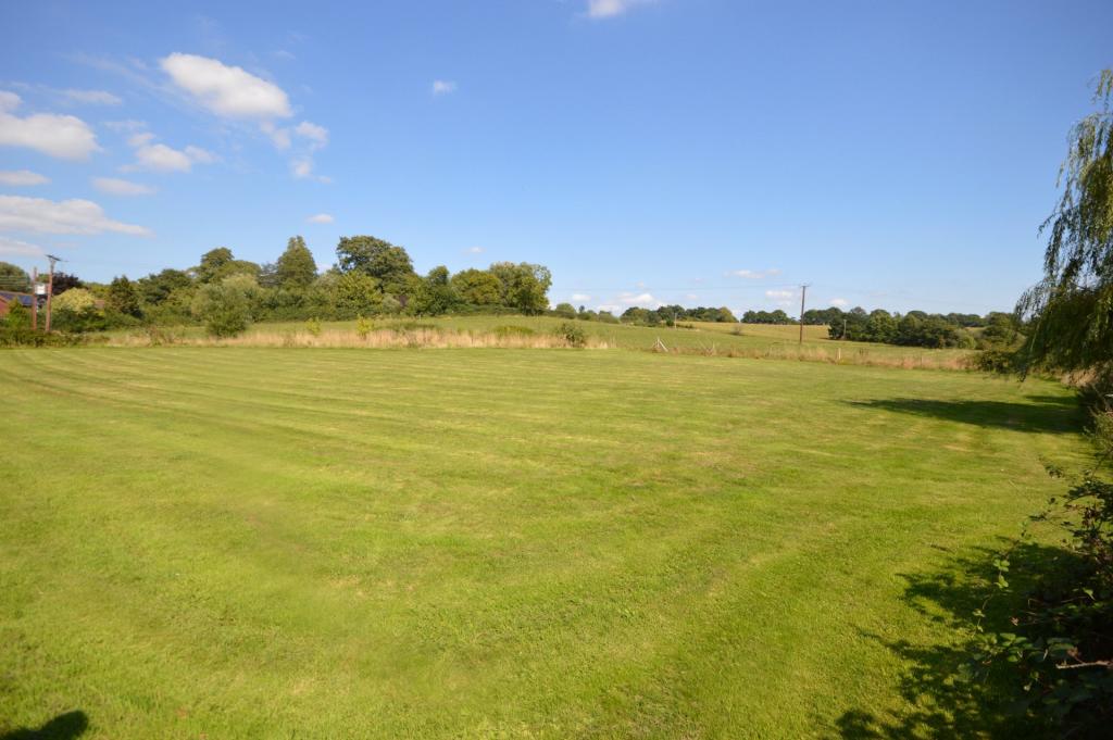 Field 1