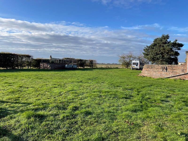 Garden &amp; Viewing Platform