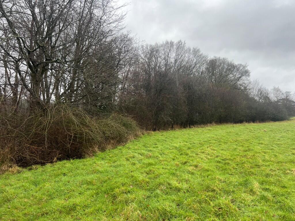 Central Area of Land