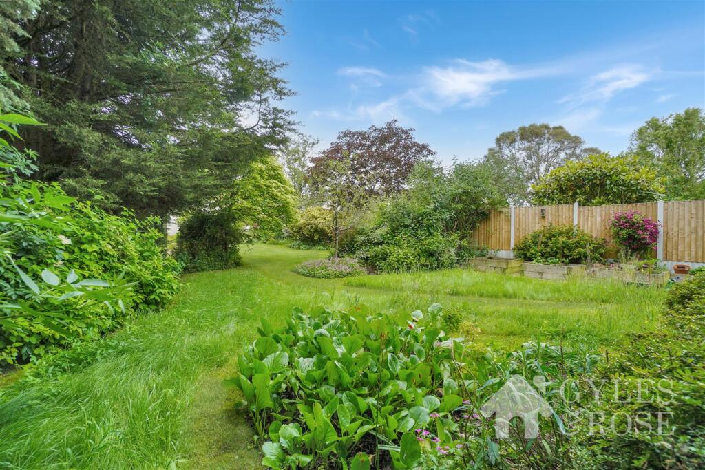 Back garden