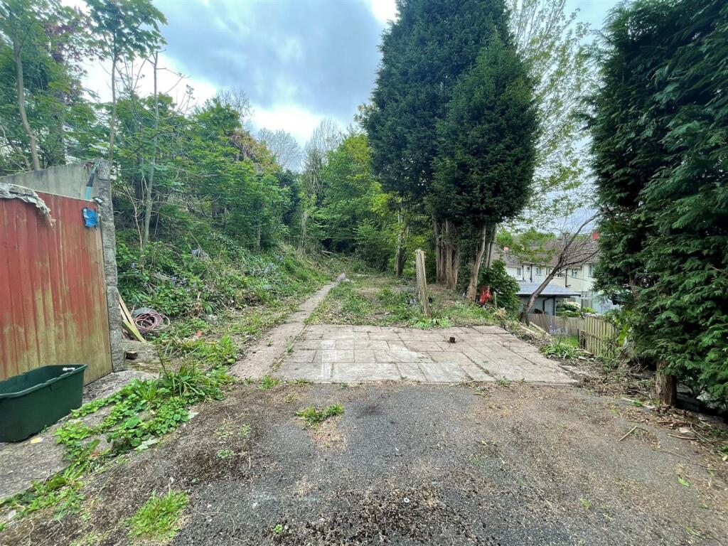 Image 7.jpg
