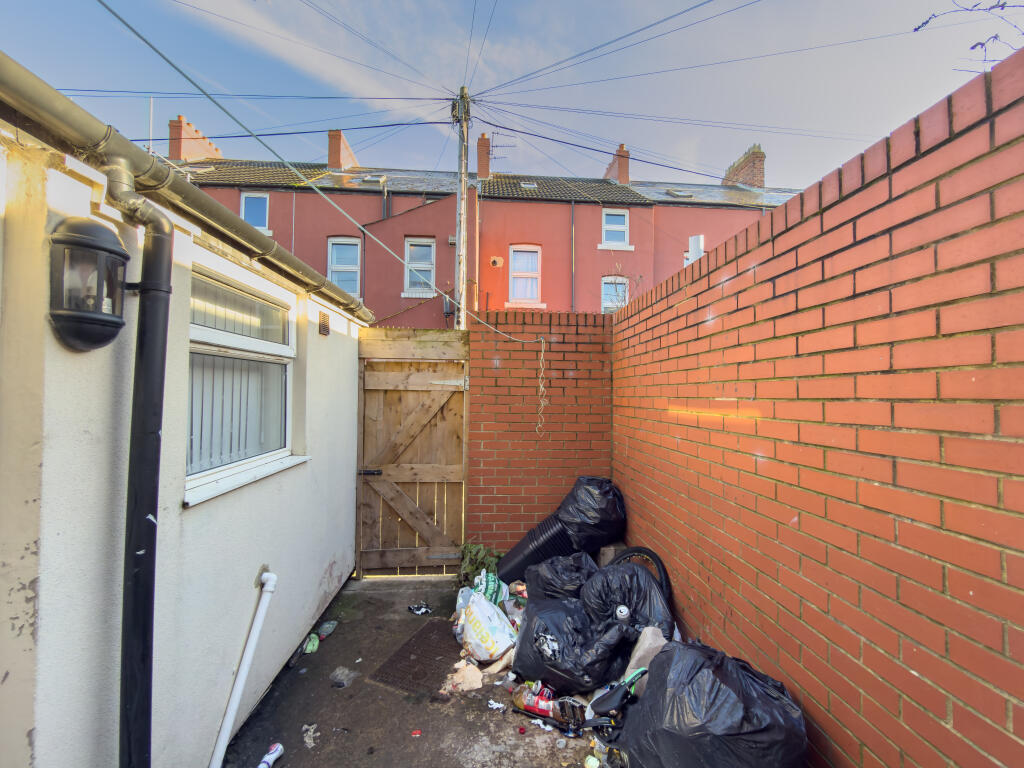 IMG 8212 T202511241522.jpg