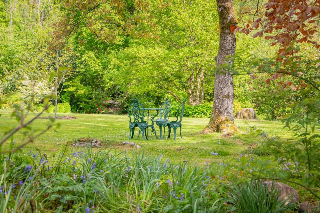 Garden and Grounds
