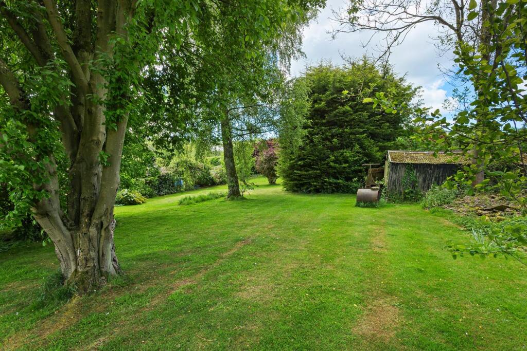 The White House-33.jpg