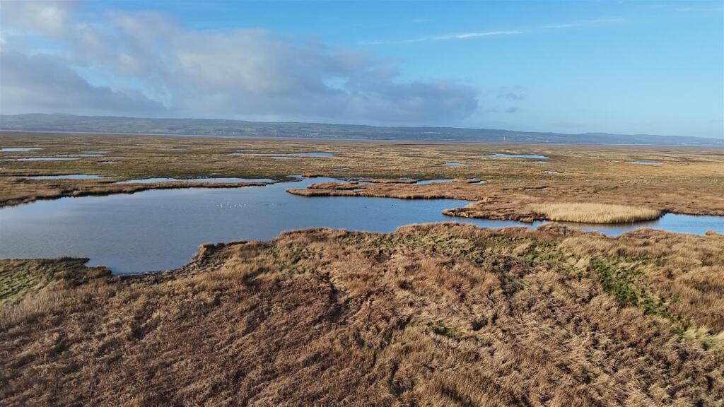 DJI_20250222090248_0144_D.JPG