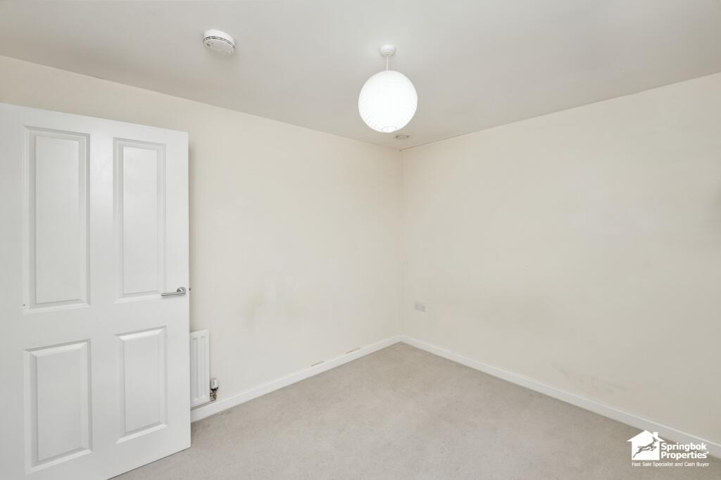 IMAGE 12