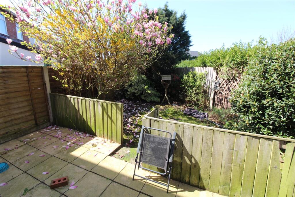 IMG 4938  Medium  T202504101031.jpg