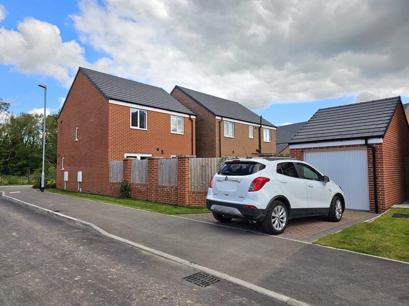 Driveway &amp; Garage