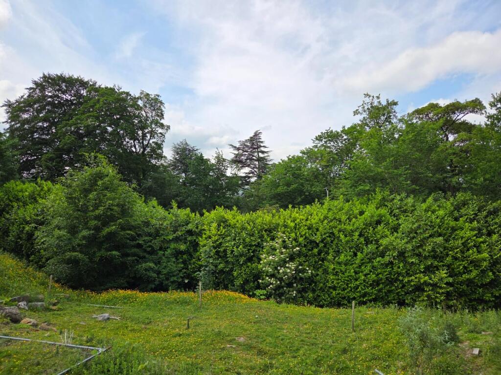 Park View2.jpg