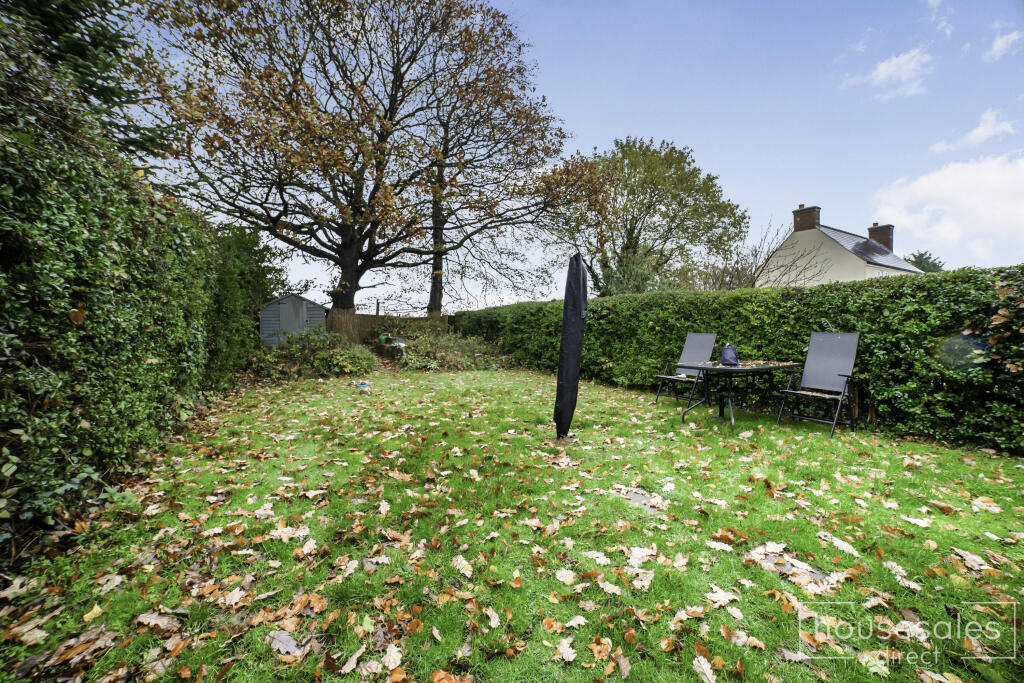 Back garden