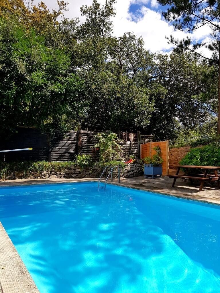 IMG_382054_23_lar...