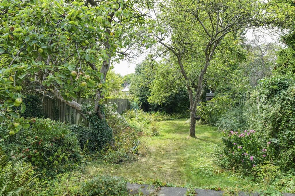 Garden.jpg