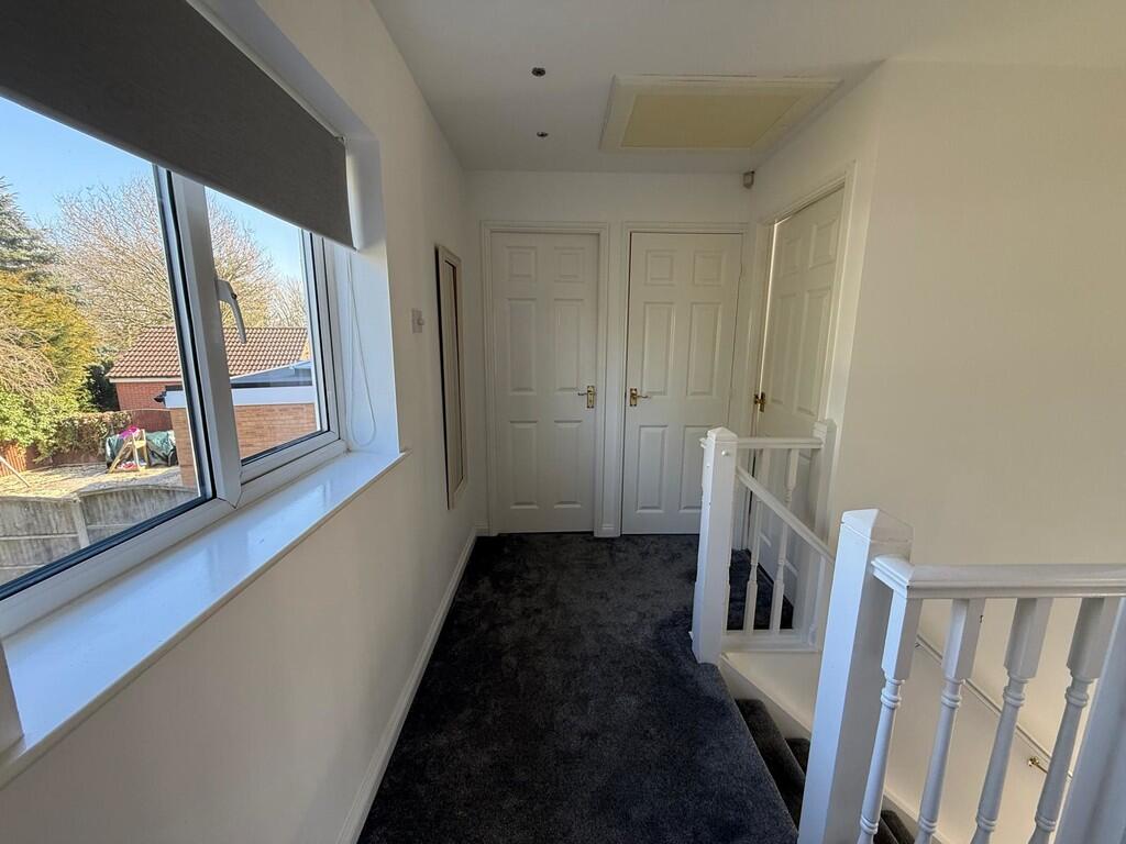 WhatsApp Image 20...