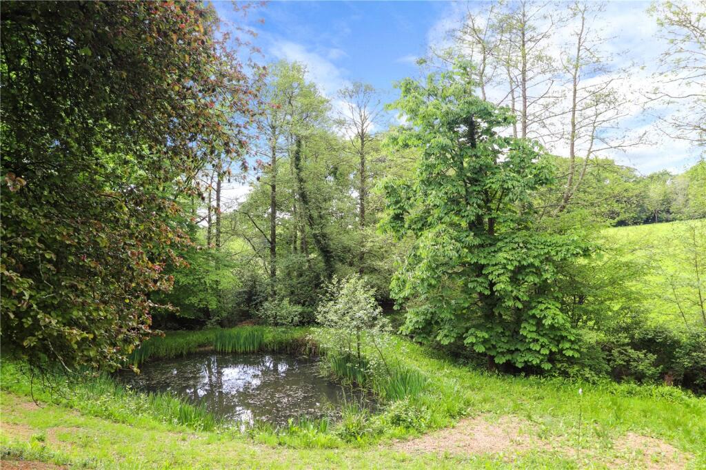 Pond