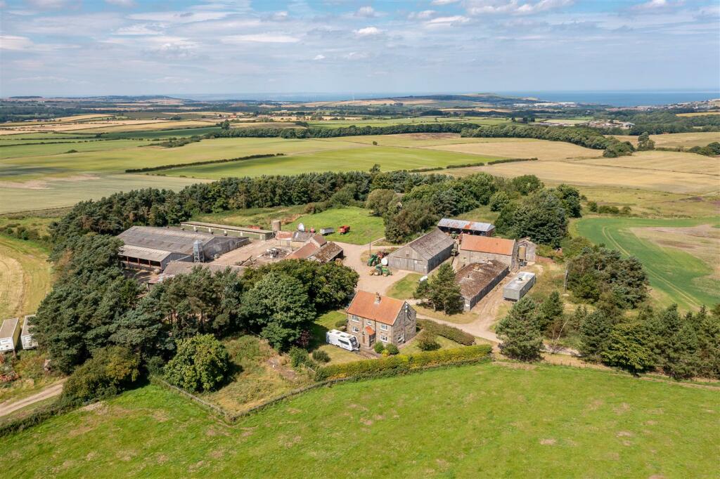 DJI_0905-HDR.jpg