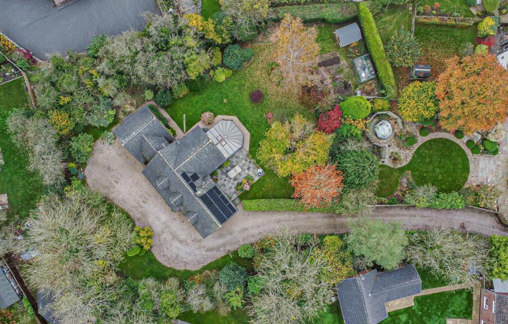 DJI_0864.jpg