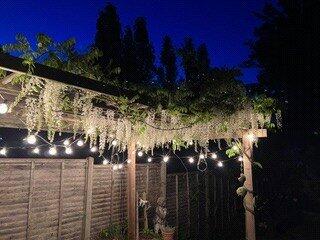 Night Shot