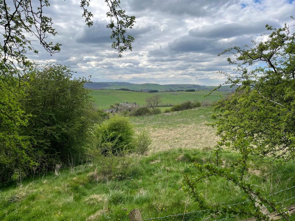 PHOTO-2025-04-28-19-50-12 (4).jpg