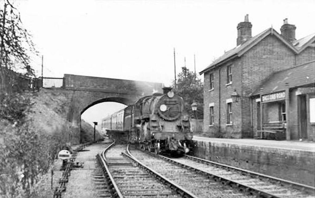 Back garden in about 1954