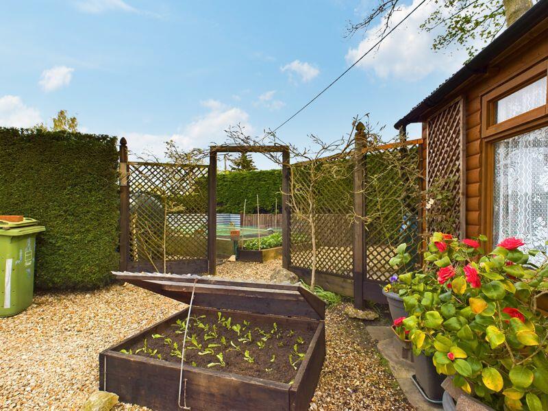 Vegetable garden