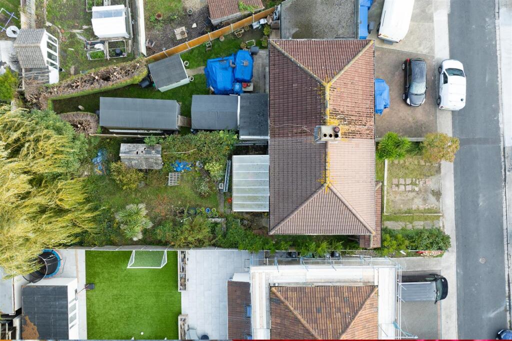 garden.jpg