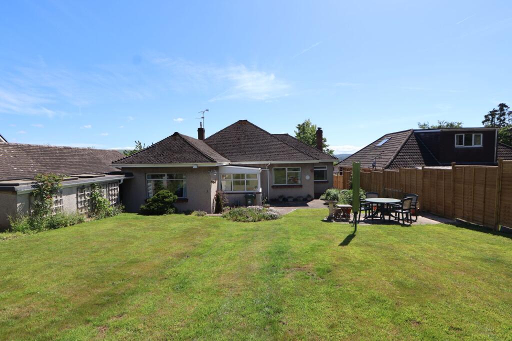 Back Garden