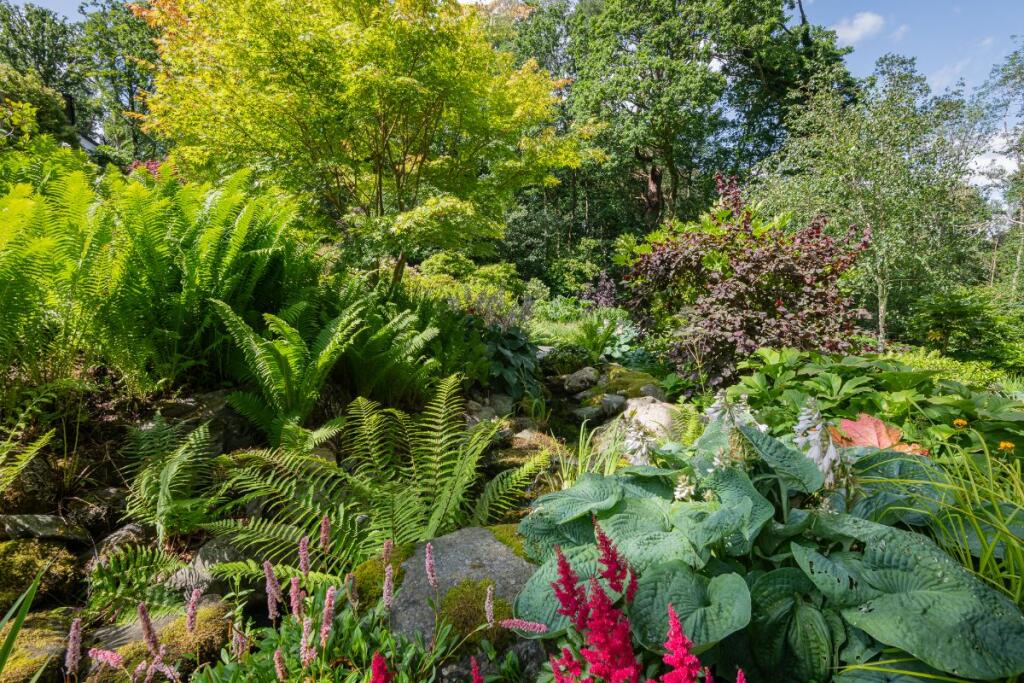 Garden and Grounds