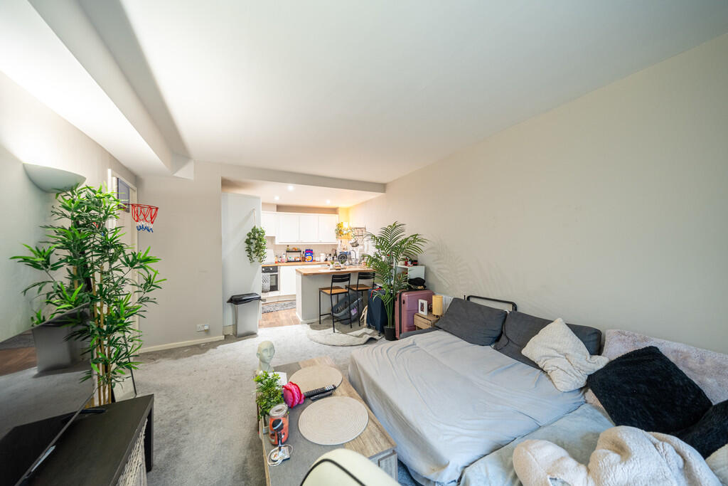 25241-18 15 Kings...