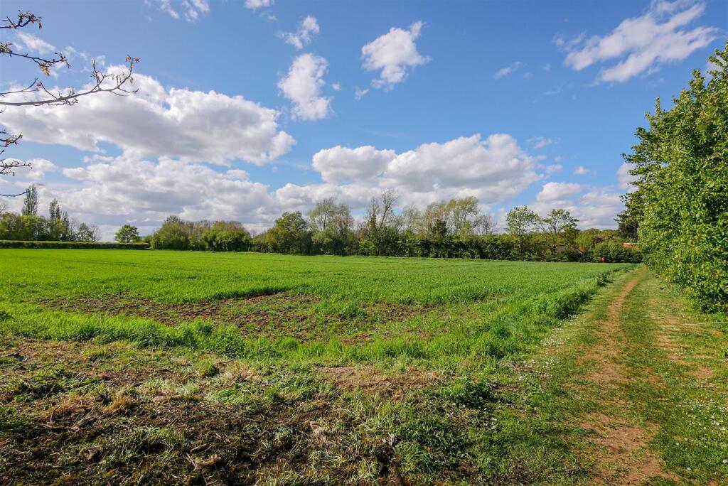 Fields Behind