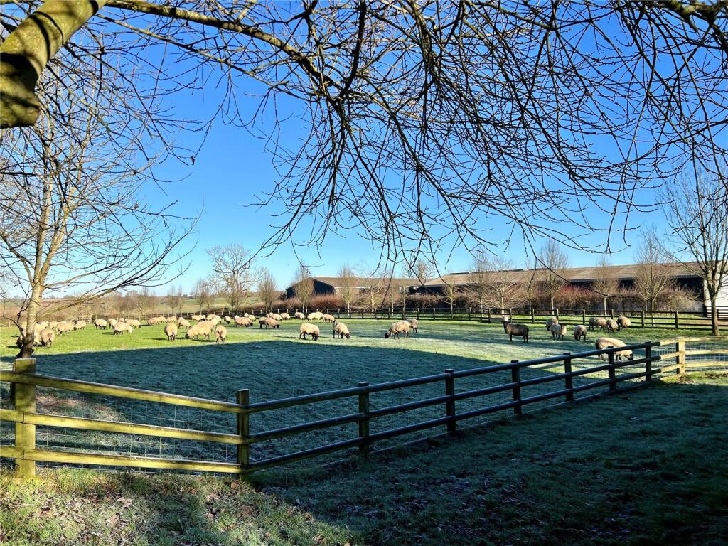 View From Annexe