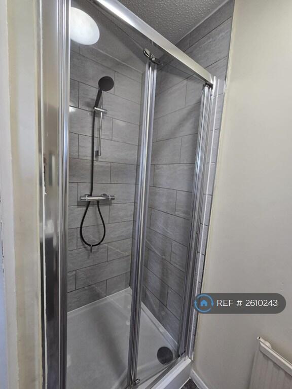 Ensuite Shower2