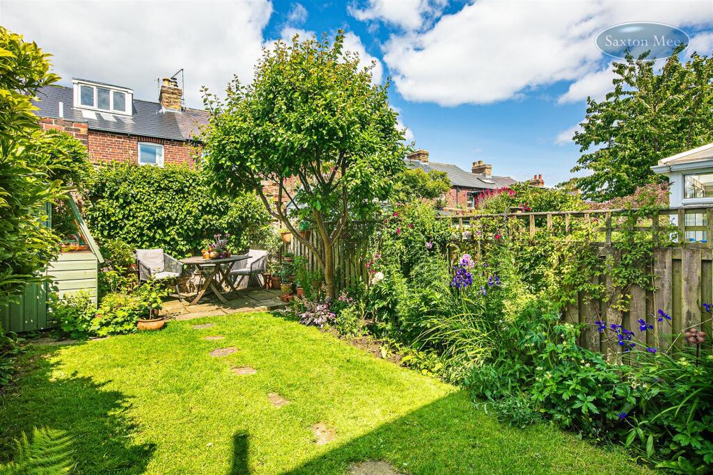 _78A0462 copy (1).jpg