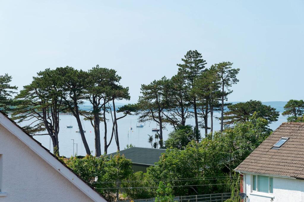 MFL7243238_665.jpg