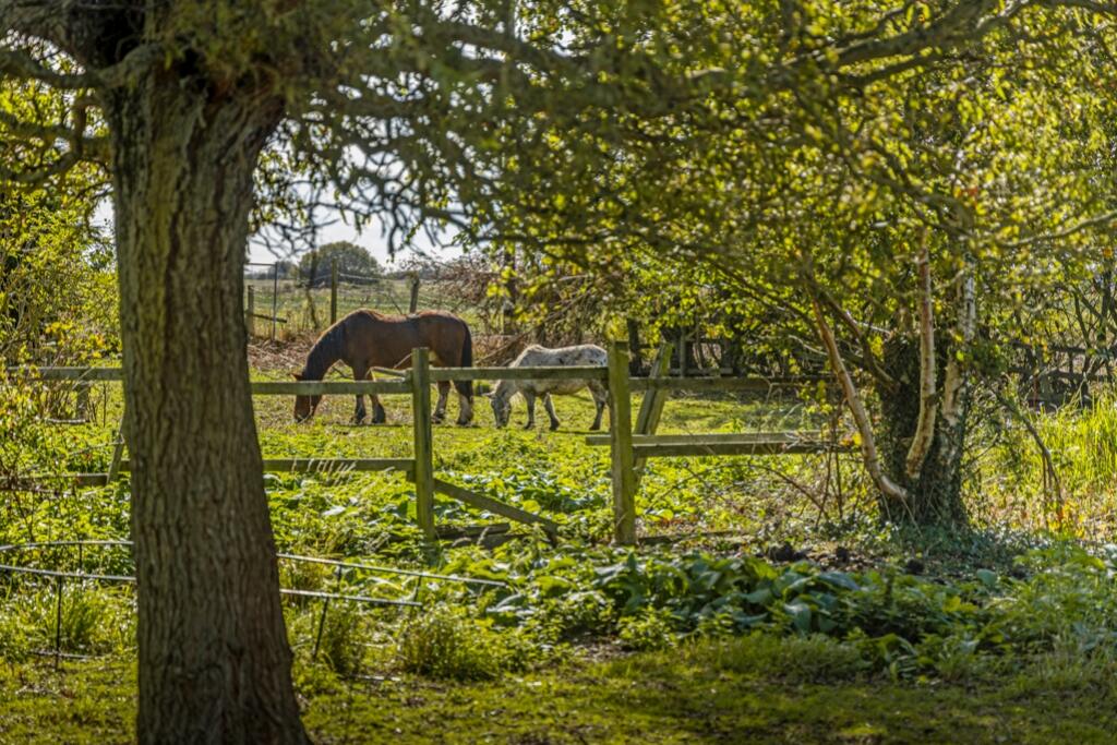 Ash Tree Farm (Amber Hill)-10