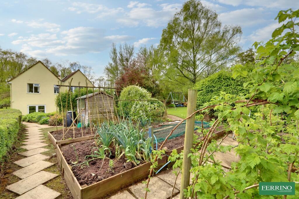 Vegetable Garden