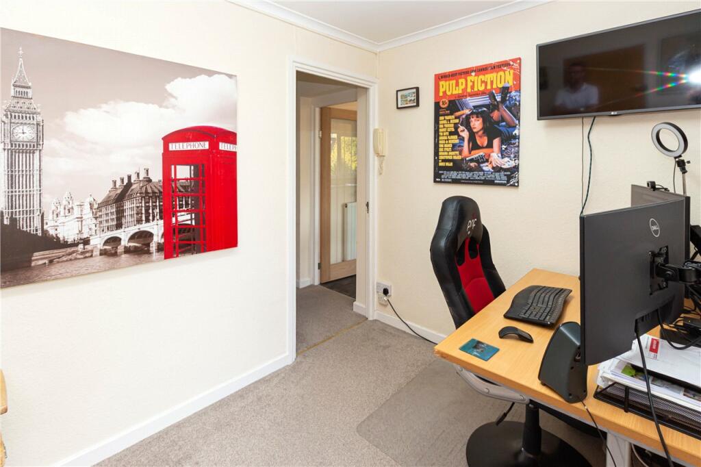 Study Area