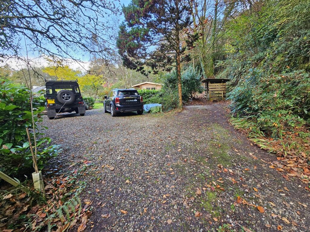 Driveway.jpg