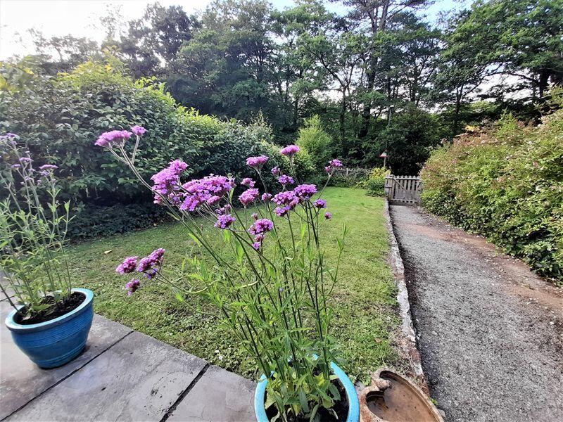 Front Garden Flowers