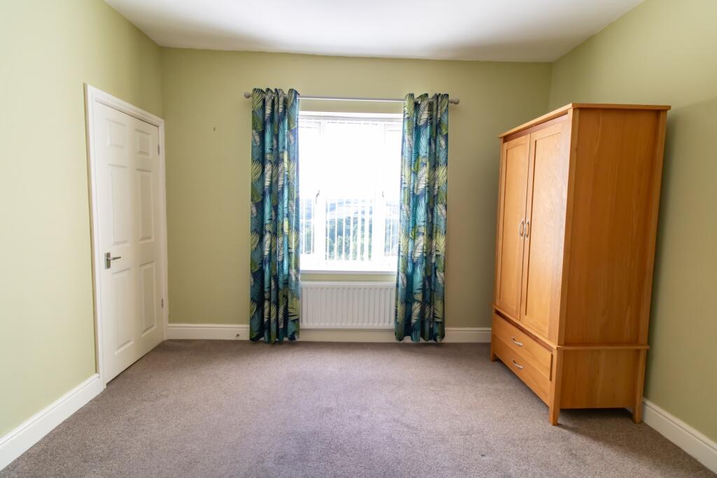 IMAGE 12
