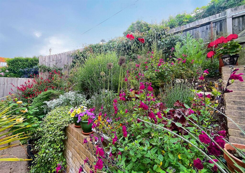garden 4.jpg