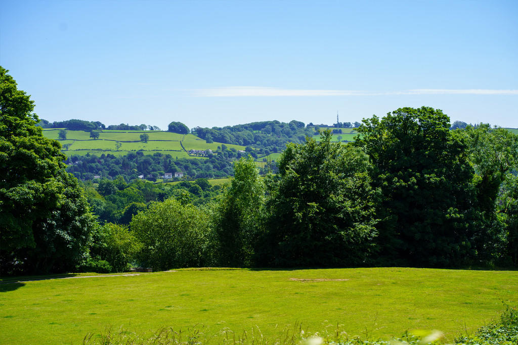 Open views
